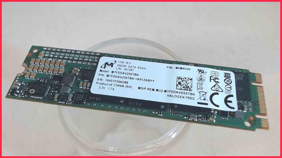 HDD SSD Festplatte 256GB Micron SATA 6GB/s HP 15-bw062ng