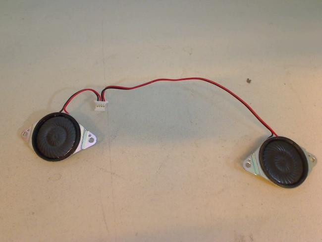 Lautsprecher Speaker Boxen Sound Audio R & L Asus A9RP