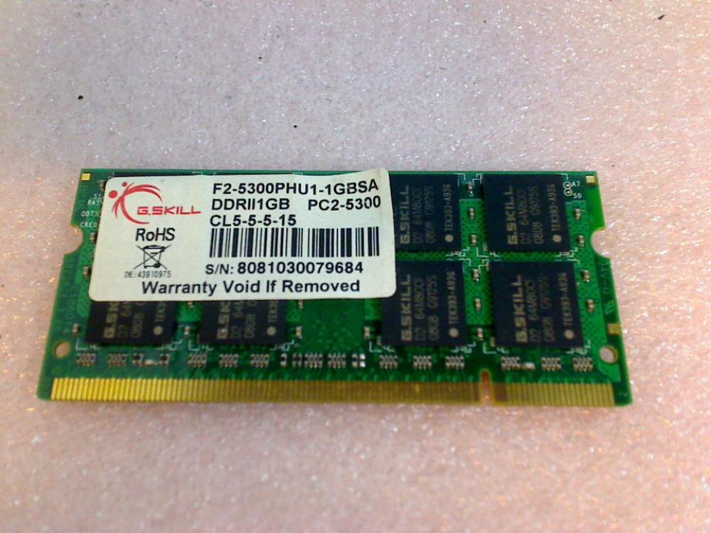 1GB DDR2 Arbeitsspeicher RAM PC2-5300 G.Skill lynx P53INO Pi1556