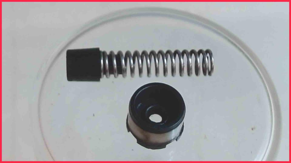 Brüheinheit Brühgruppe Kolben Feder Ventil EQ.3 S500 CTES35A Ti305506DE