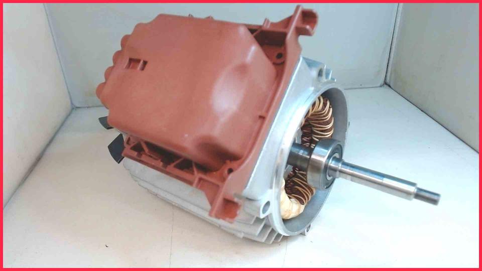 Druck Wasserpumpe Motor Gardena 3000/4 eco 1753