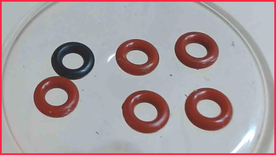 Gummi Dichtungen 6er Set Satz CAFFEO SOLO E950-103 -4