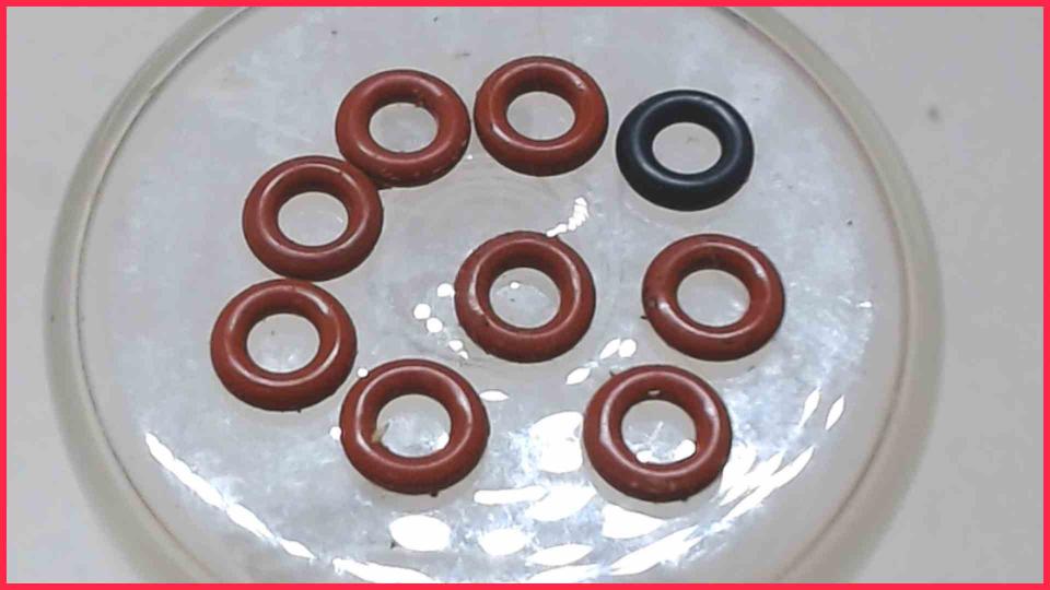 Gummi Dichtungen Diverse Caffeo Gourmet E 965-101