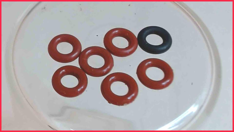 Gummi Dichtungen Diverse Caffeo Solo E950-222