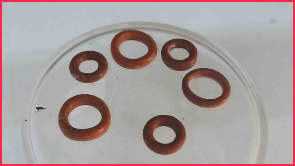 Gummi Dichtungen Diverse Esperienza EAM3000.B -2