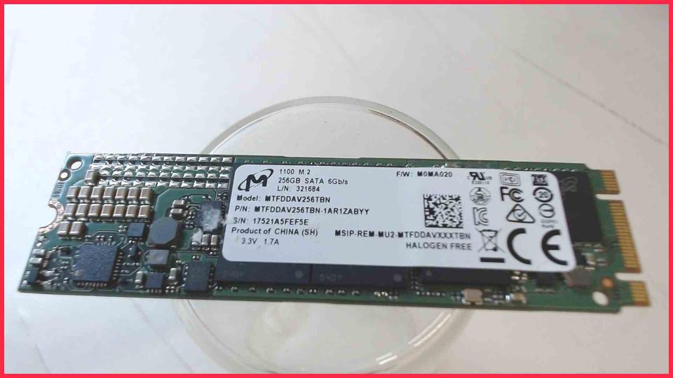 HDD SSD Festplatte 256GB SATA 6GB/s Micron MTFDDAV256TBN (393h)