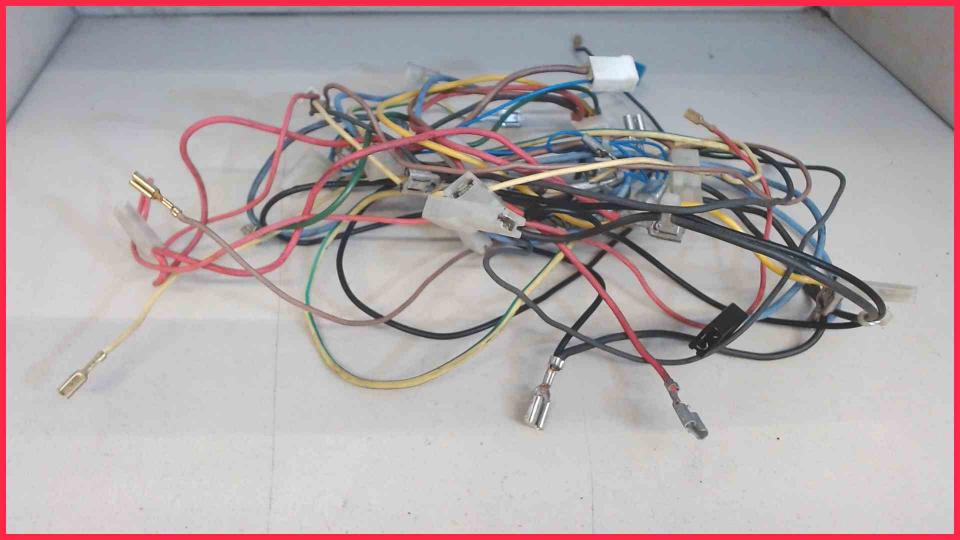 Cable Set Diverse Saeco Incanto SUP021Y -5