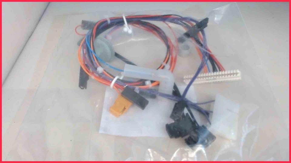 Cable harness Z.BR..-16/-28/-42A.. ZB 7/11-22A.. 87144020870 Bosch Buderus Junke