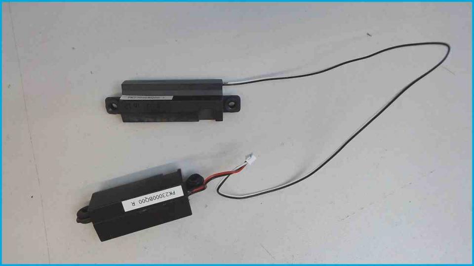 Lautsprecher Speaker Boxen Rechts(R) & Links(L)
 Lenovo G550 2958 -2