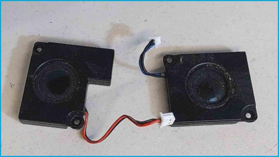 Lautsprecher Speaker Boxen Rechts(R) & Links(L)
 Medion MD96380 MIM2280 -2
