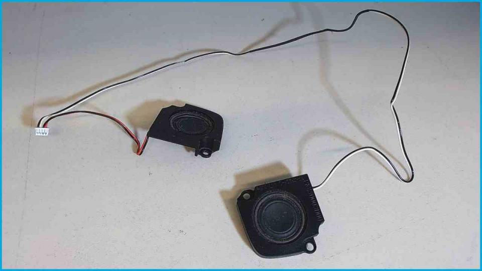Lautsprecher Speaker Boxen Rechts(R) & Links(L)
 Toshiba M40X