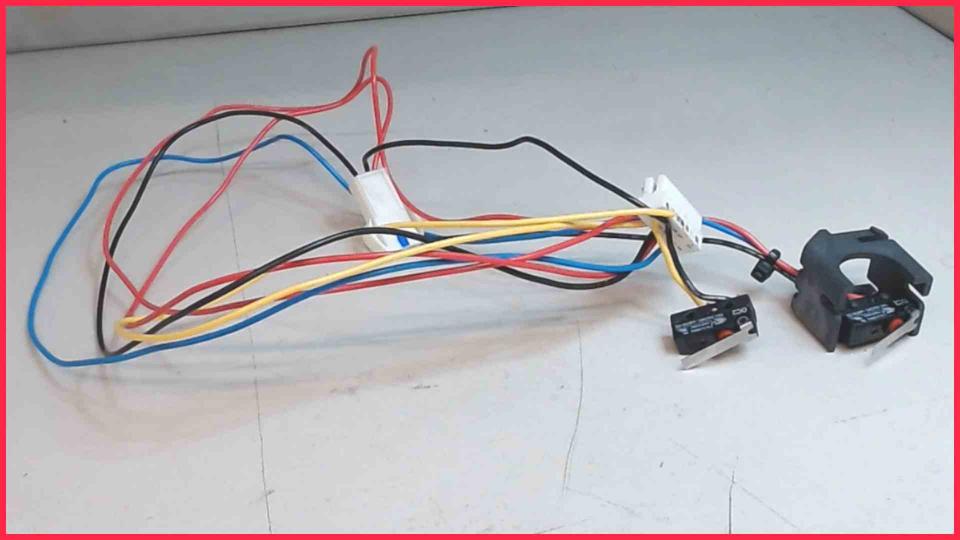 Micro Switch Sensor Schalter 2er Set Kabel EQ.9 S300 TI903509DE CTES34A