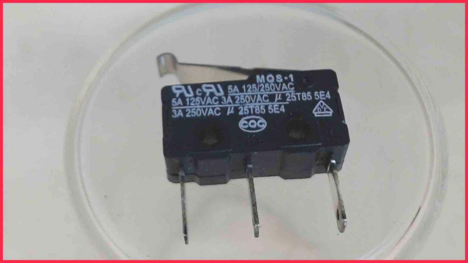 Micro Switch Sensor Schalter MQS-1 AEG CaFamosa Typ 9750 CF 220