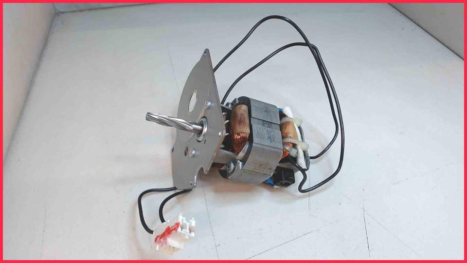 Mühlwerk Antriebsmotor Krups EA8010PN