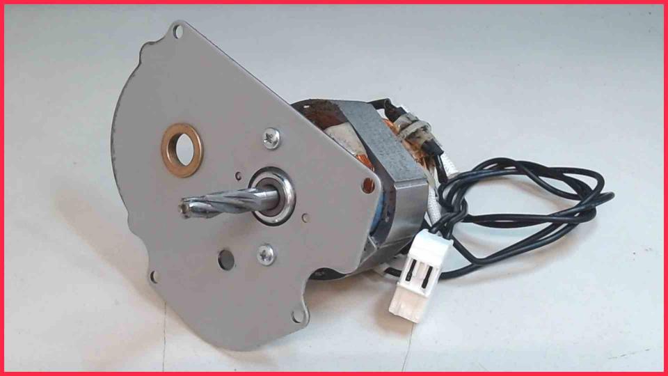 Mühlwerk Antriebsmotor Krups EA82 EA826E10 -2