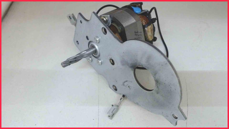 Mühlwerk Antriebsmotor U-5421 230V 50Hz Esperienza EAM3000.B -2