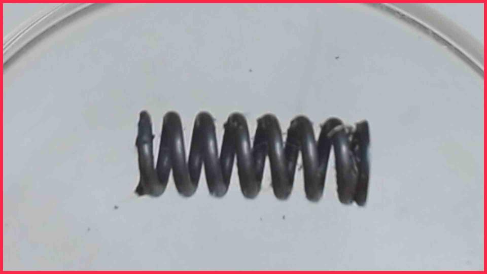 Mühlwerk Feder 15mm CafeRomatica 572 NICR 646 -2