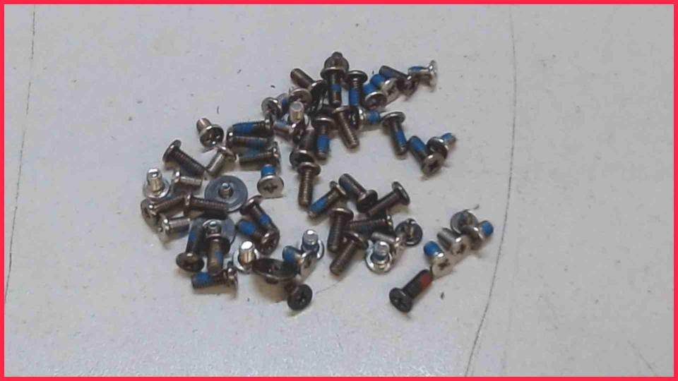 Original Schrauben Satz Set  Aspire E 17 ES1-711G-P3VV ZYL