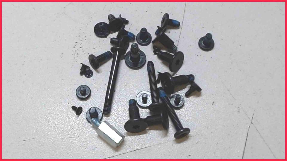 Original Schrauben Satz Set Diverse Apple iMac 21" A1418