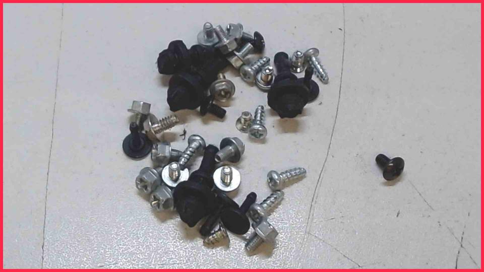 Original Schrauben Satz Set Diverse Fujitsu Esprimo E5731