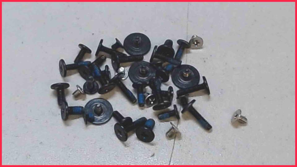 Original Schrauben Satz Set Diverse ThinkPad E531