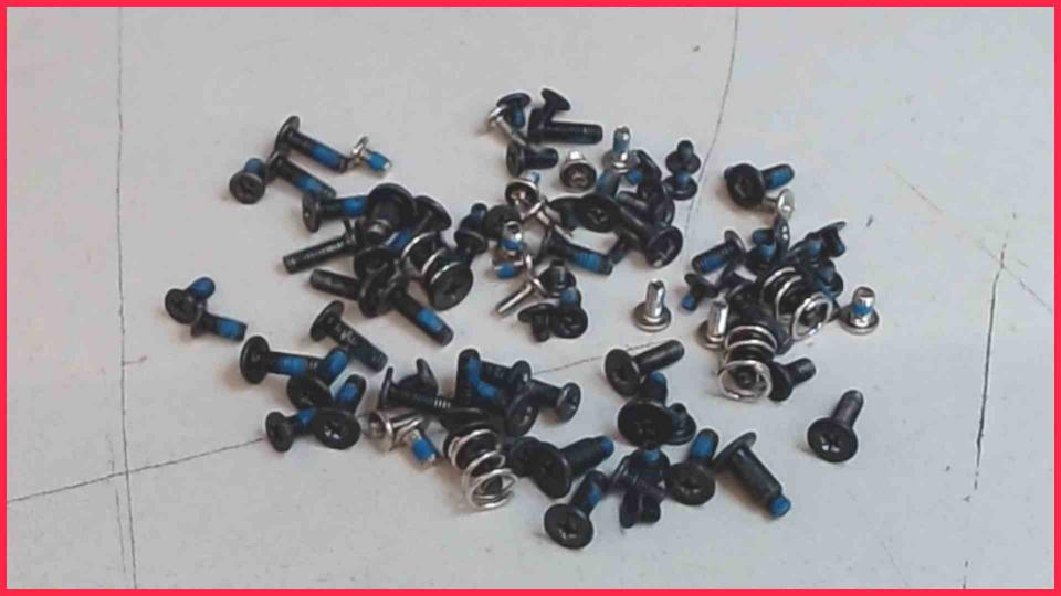 Original Schrauben Satz Set Diverse Toshiba L500-1VW
