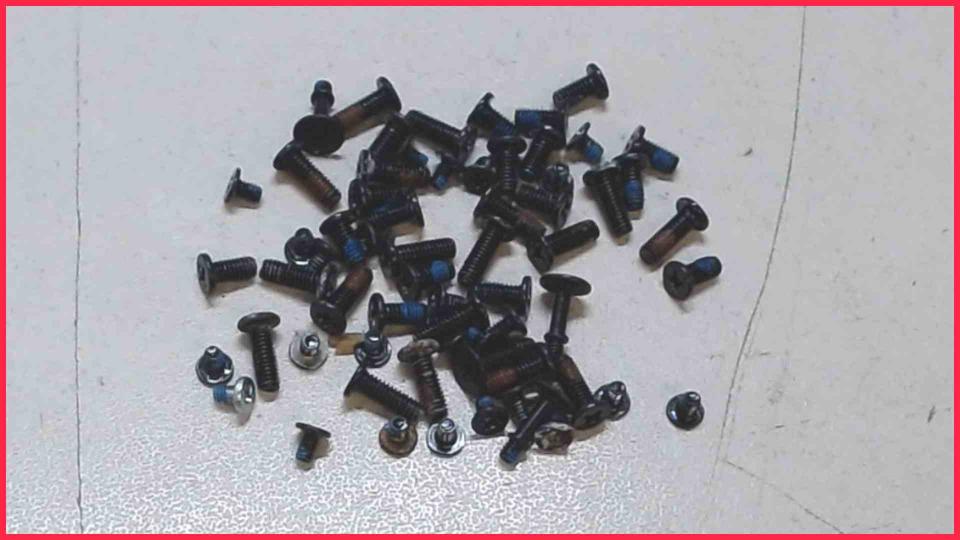 Original Schrauben Satz Set  EasyNote LE11BZ EG70BZ