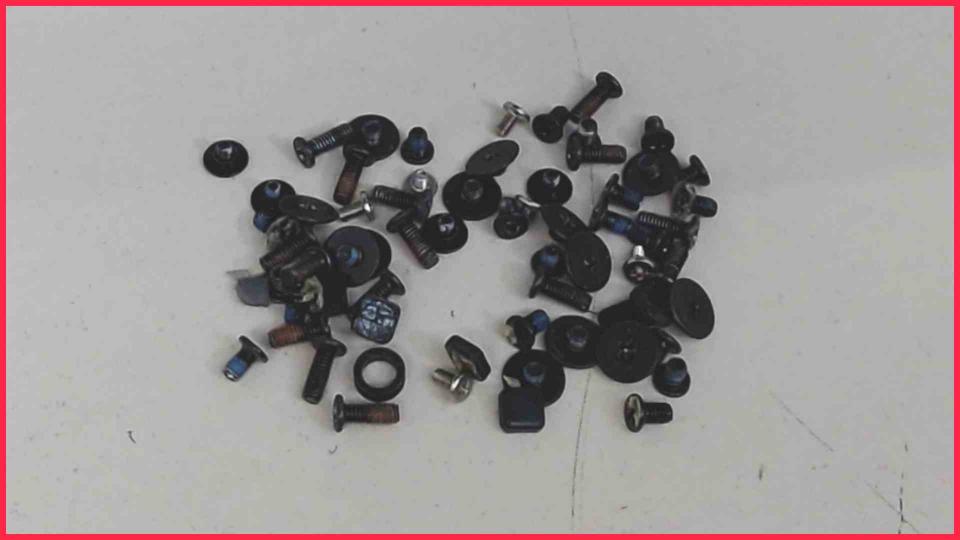 Original Schrauben Satz Set Lenovo ideapad Y560 0646