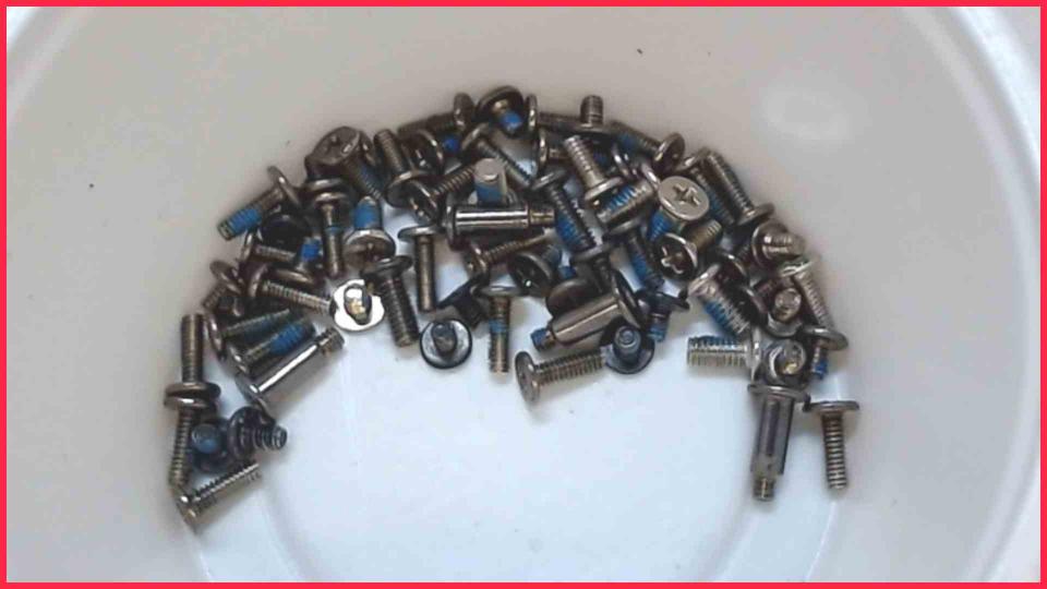 Original Schrauben Satz Set  Satellite C870D-105