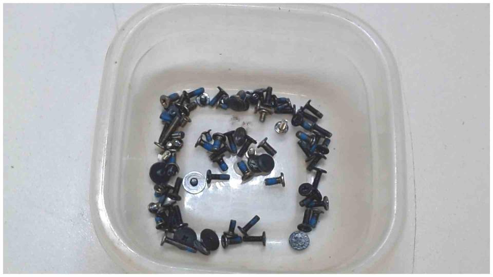 Original Schrauben Satz Set akoya P7818 MD99160