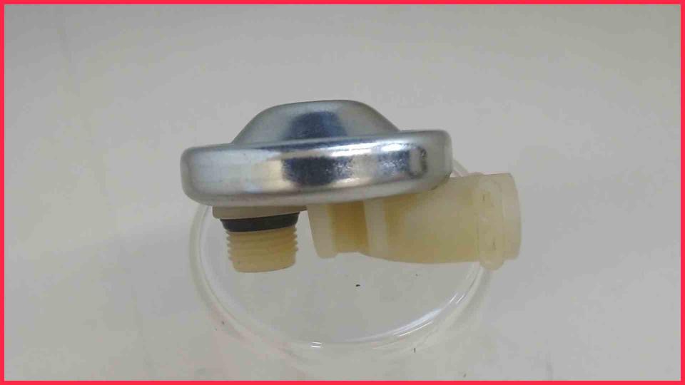 Sicherheit Überdruckventil Wasserpumpe DeLonghi PrimaDonna ESAM6620
