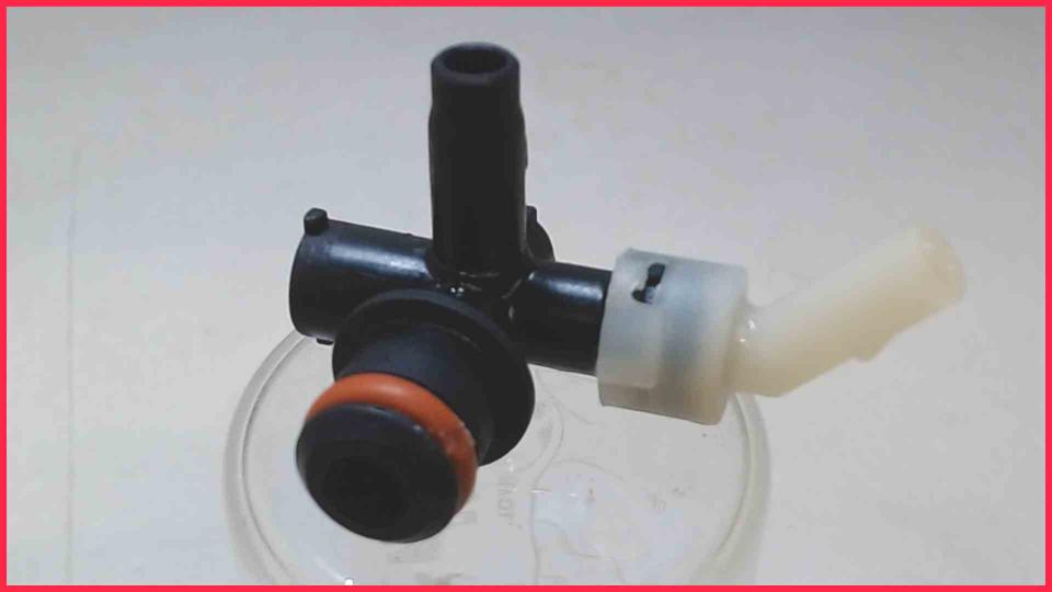 Wasser Schlauch Anschluss Kupplung Boiler II Tassimo TAS6003/01 CTPM10