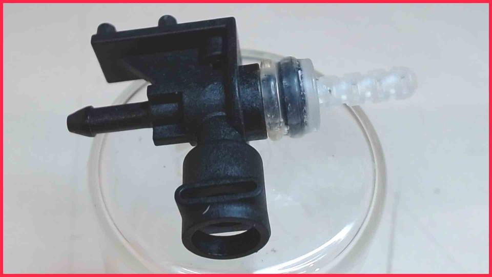 Wasser Schlauch Anschluss Kupplung Boiler macchiatoPlus EQ.5 CTES32 -5