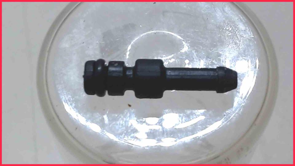 Wasser Schlauch Anschluss Kupplung I-Form VeroCafe Latte Exclusiv TES503F1DE