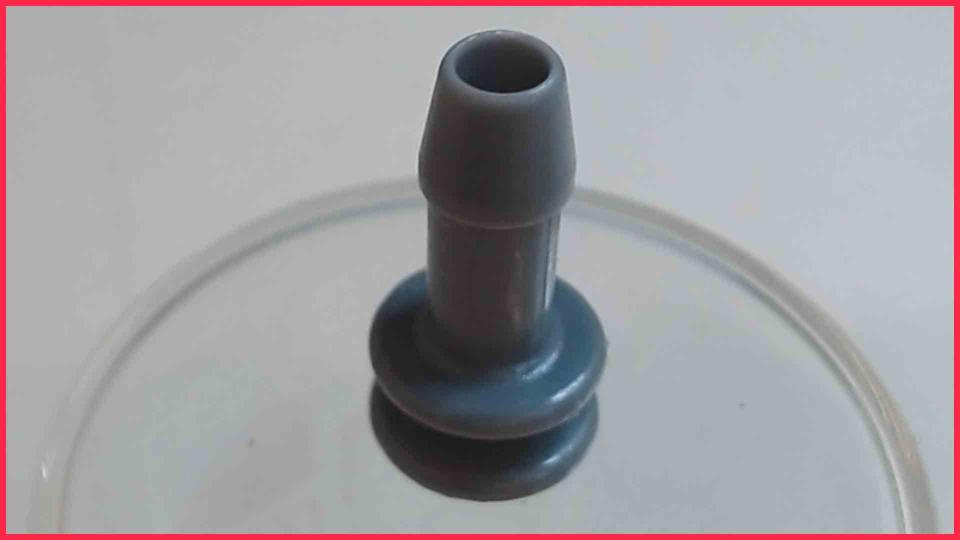 Wasser Schlauch Anschluss Kupplung I-Stück EQ.6 plus S100 CTES32X