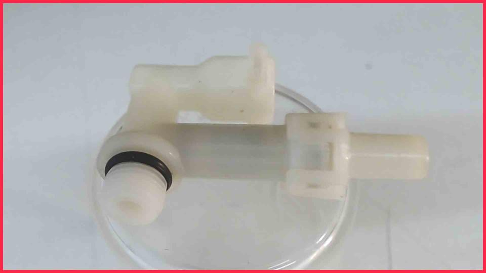 Wasser Schlauch Anschluss Kupplung Pumpe Esperienza EAM3000.B -2