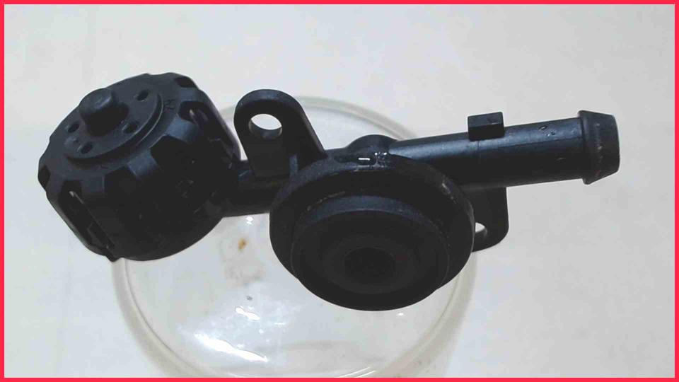 Wasser Schlauch Anschluss Kupplung  Tassimo TAS6003/01 CTPM10