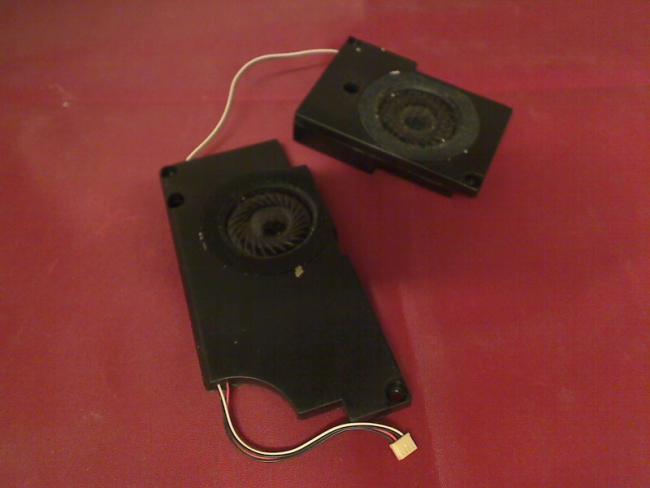 Lautsprecher Speaker Boxen R & L Sony PCG-8A3M PCG-GRX315MP