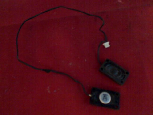 Lautsprecher Speaker Boxen Audio Sound R & L Sony VGN-SR29XN